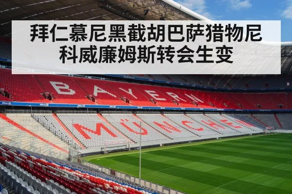 拜仁慕尼黑截胡巴萨猎物尼科威廉姆斯转会生变
